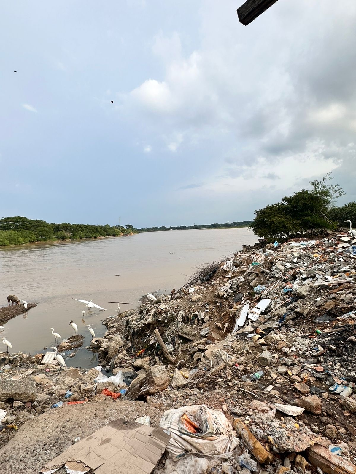 Wide view of the river and waste